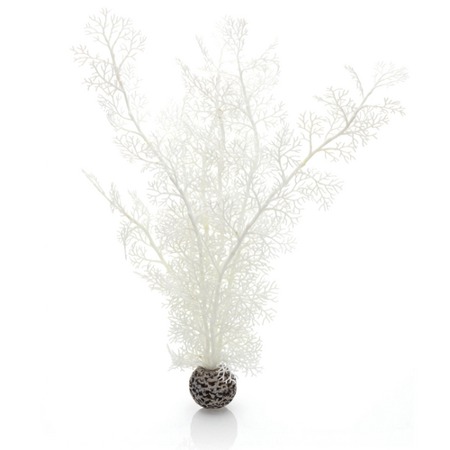 Sea Fan Large White
