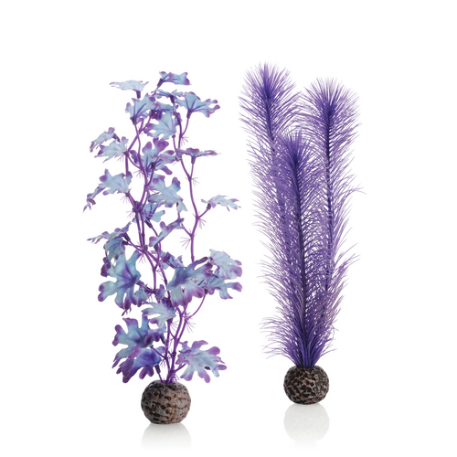 Kelp Set Medium Purple