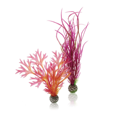 Plant Set 2 Medium Red/Pink