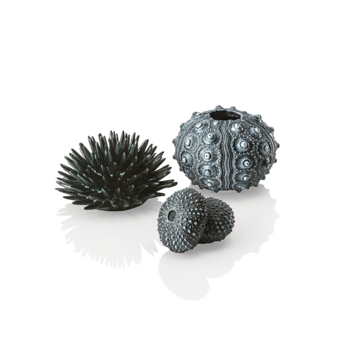 Sea Urchins Set Black