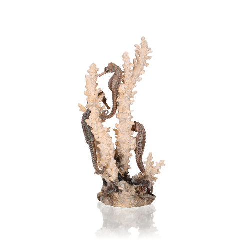 Seahorses on Coral Medium Natural