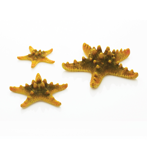 Sea Stars Set 3 Yellow